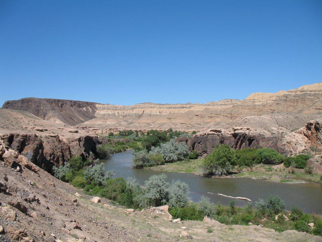 Куртогай, image of landscape/habitat.