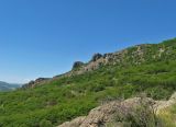 Image of landscape