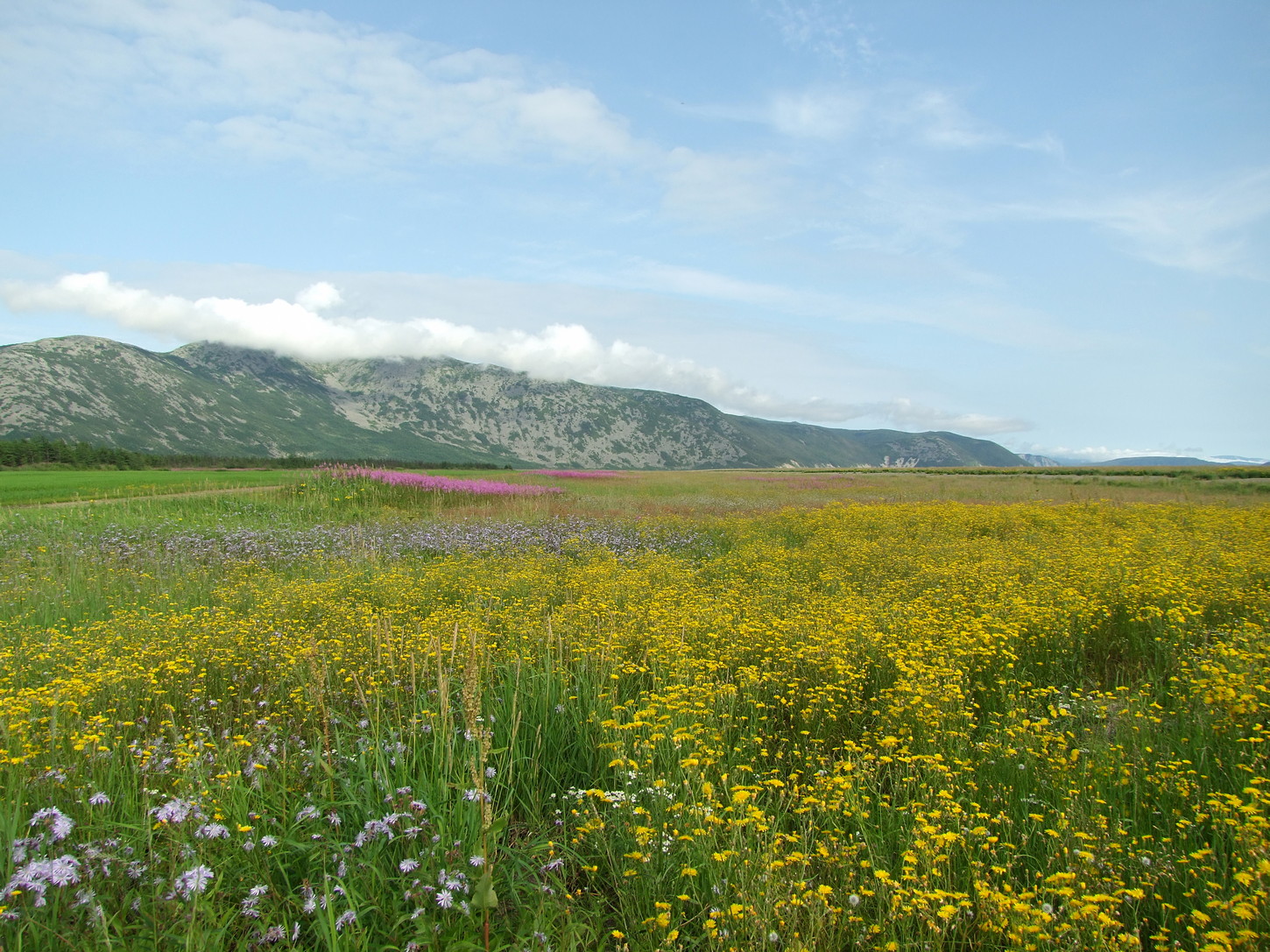 Арманское побережье, image of landscape/habitat.