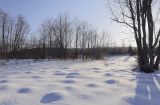 Image of landscape