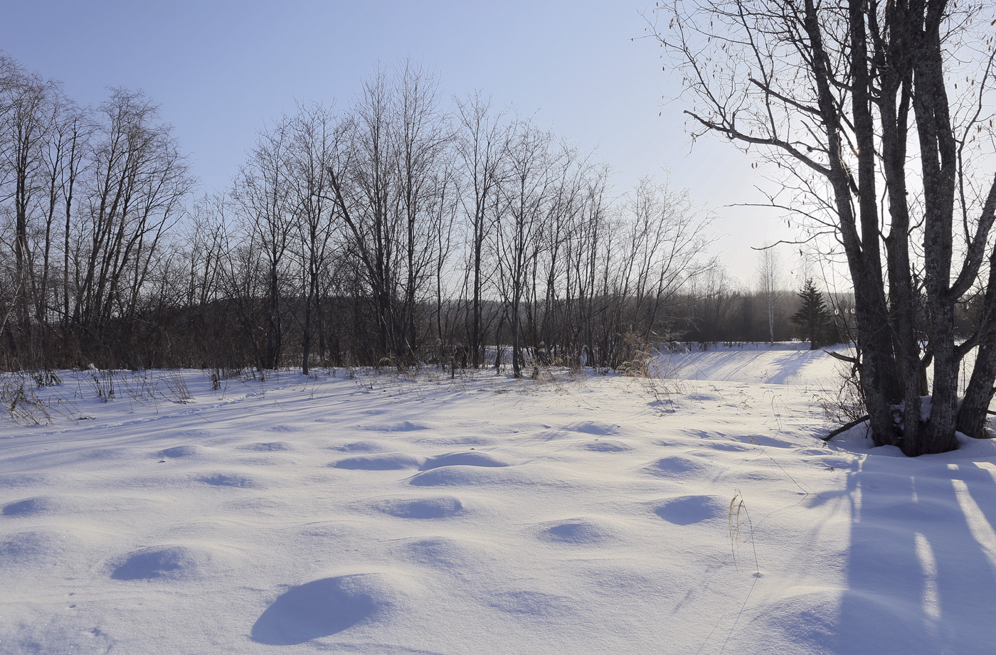 Низовья и устье Полуденной, image of landscape/habitat.