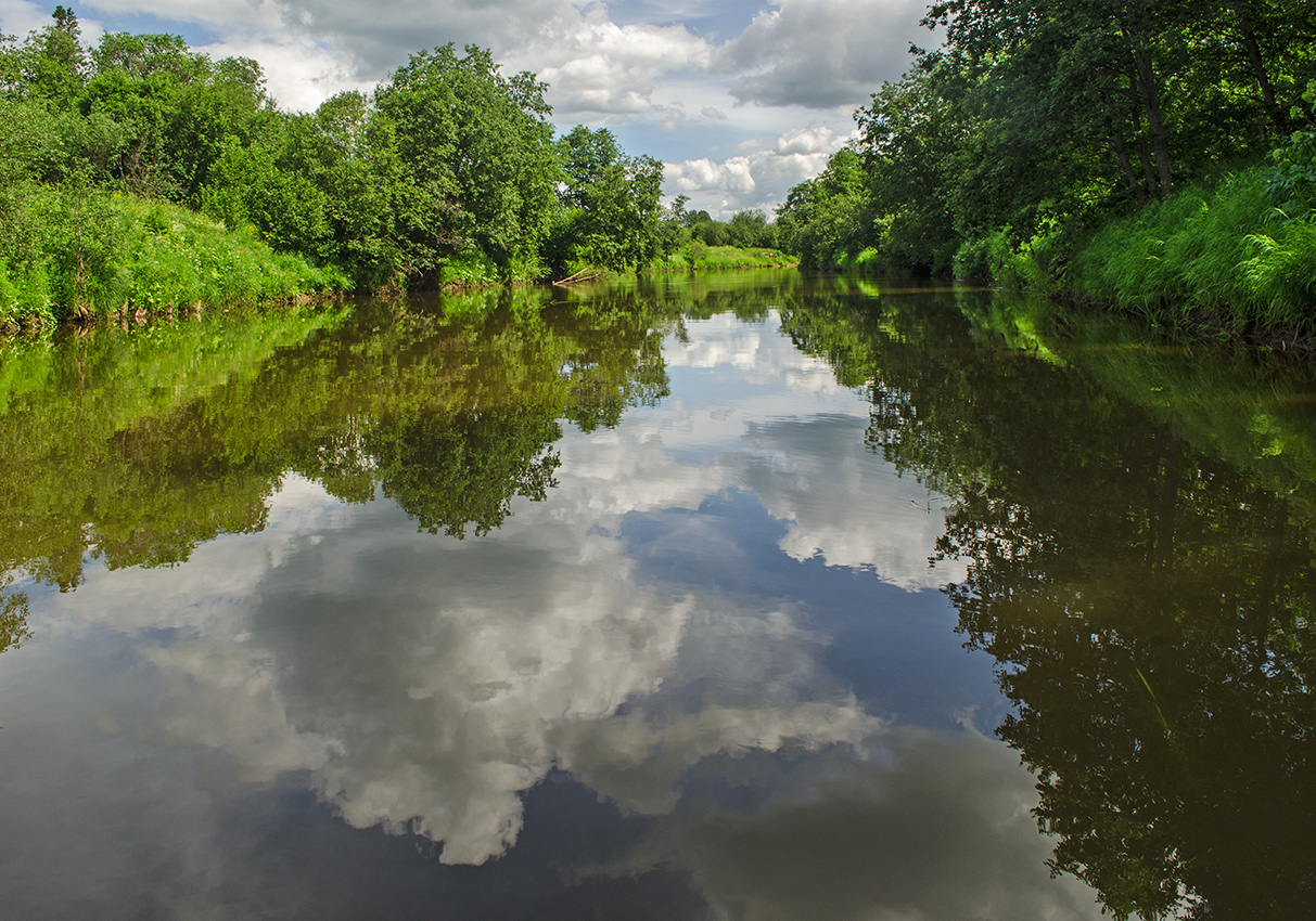 Окрестности деревни Усть-Сепыч, image of landscape/habitat.