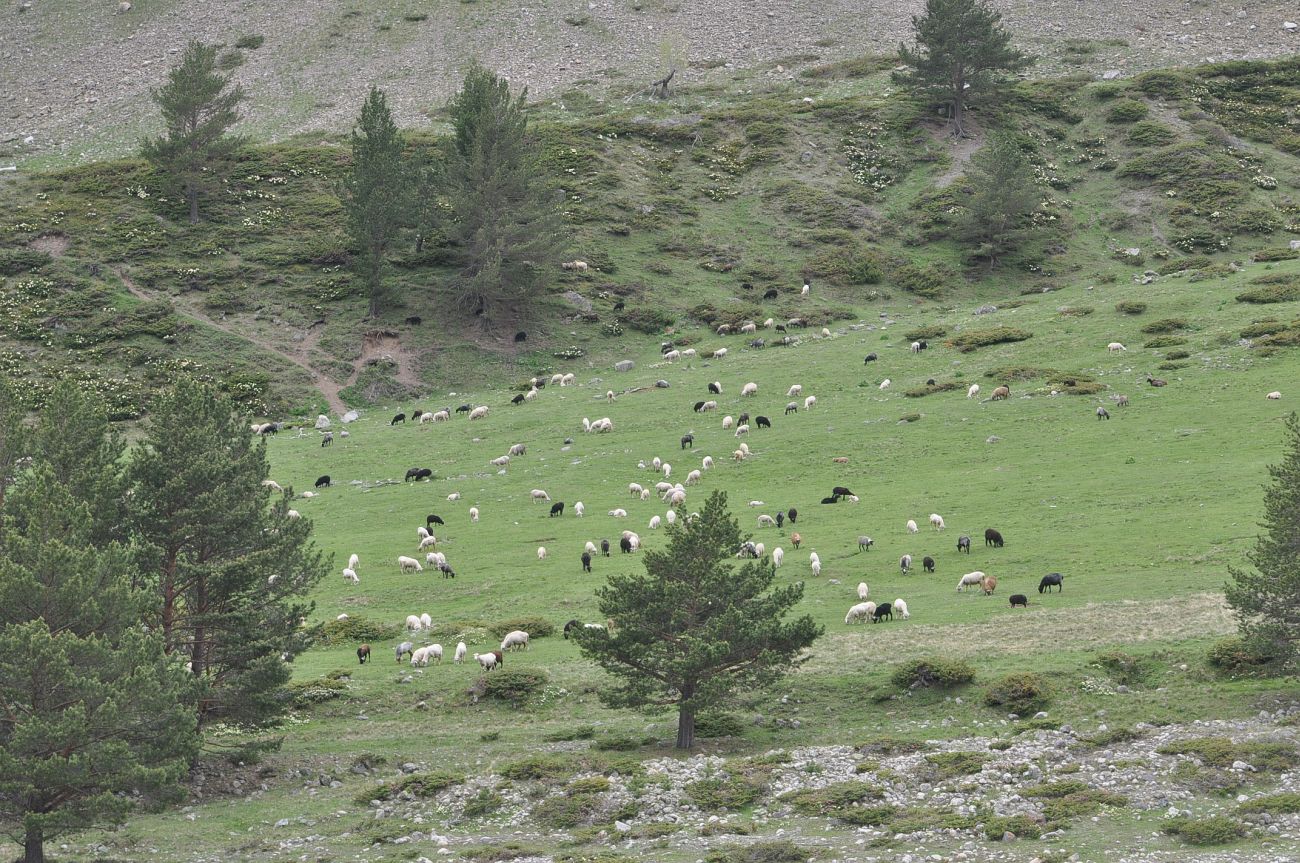 Долина реки Ирик, image of landscape/habitat.