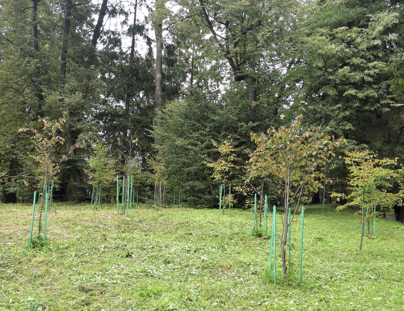 Захарово, image of landscape/habitat.