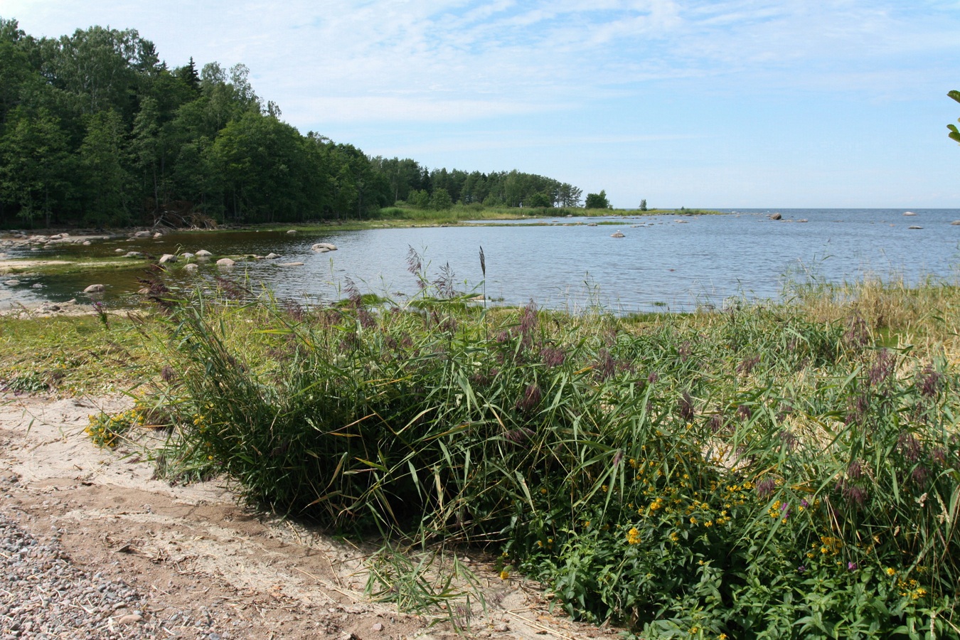 Кандикюля, image of landscape/habitat.