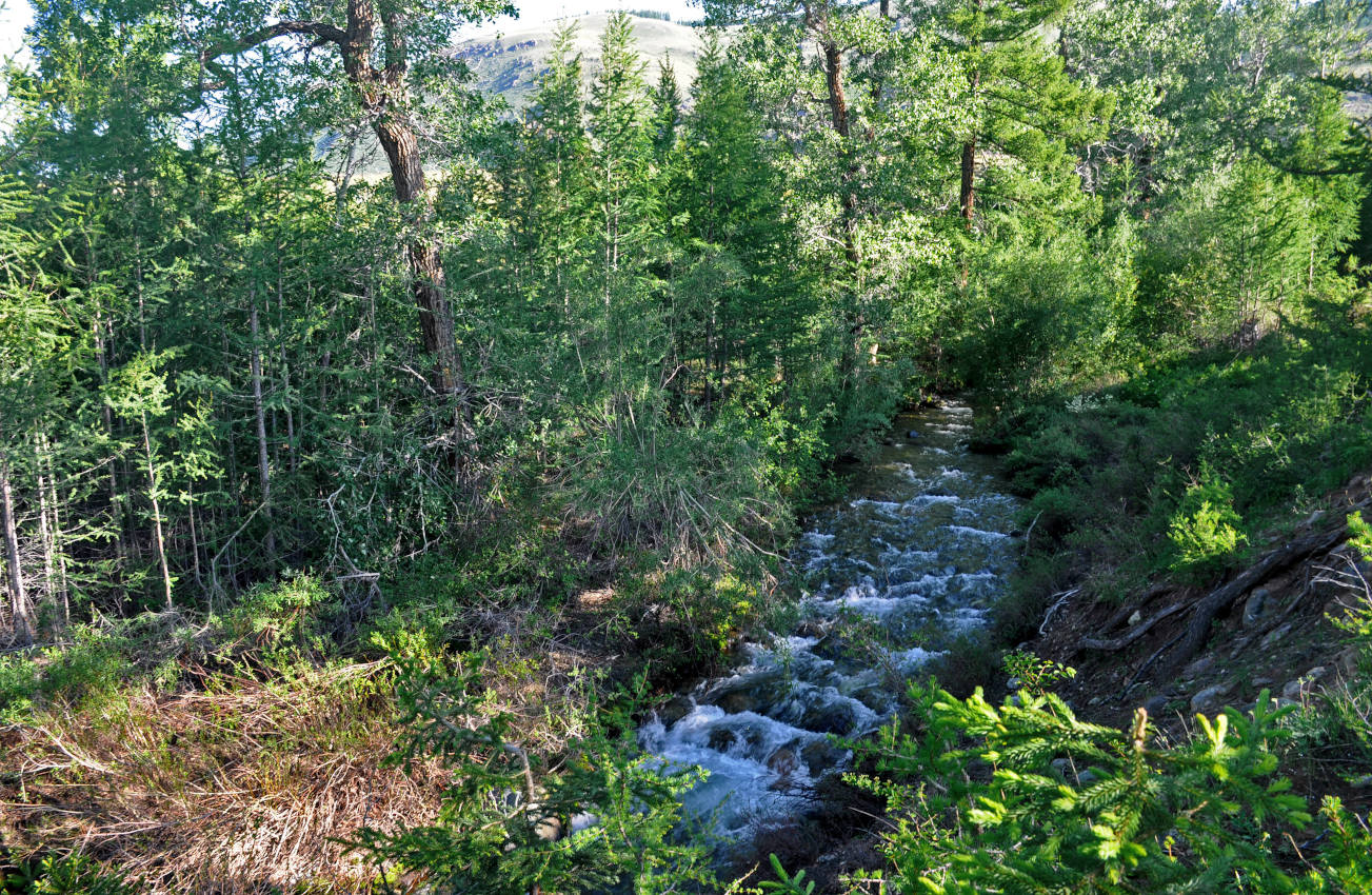 Устье реки Тыдтугем, image of landscape/habitat.