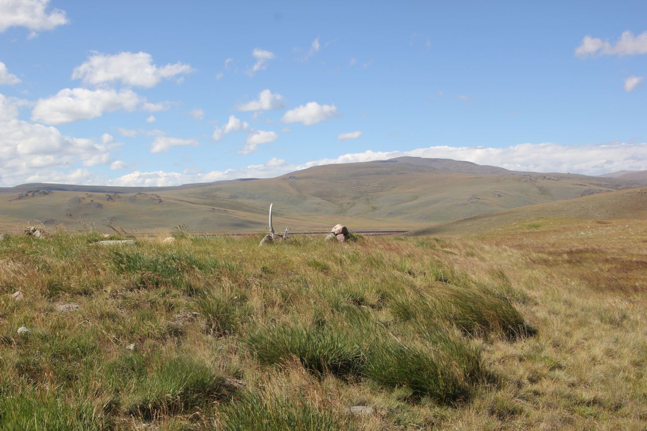 Окрестности стоянки Аргамджи, image of landscape/habitat.