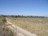 Image of landscape