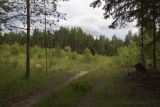 Image of landscape