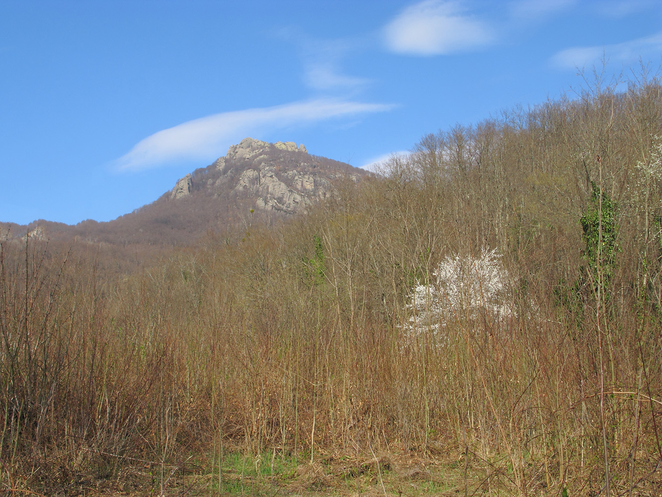 Гора Индюк, image of landscape/habitat.