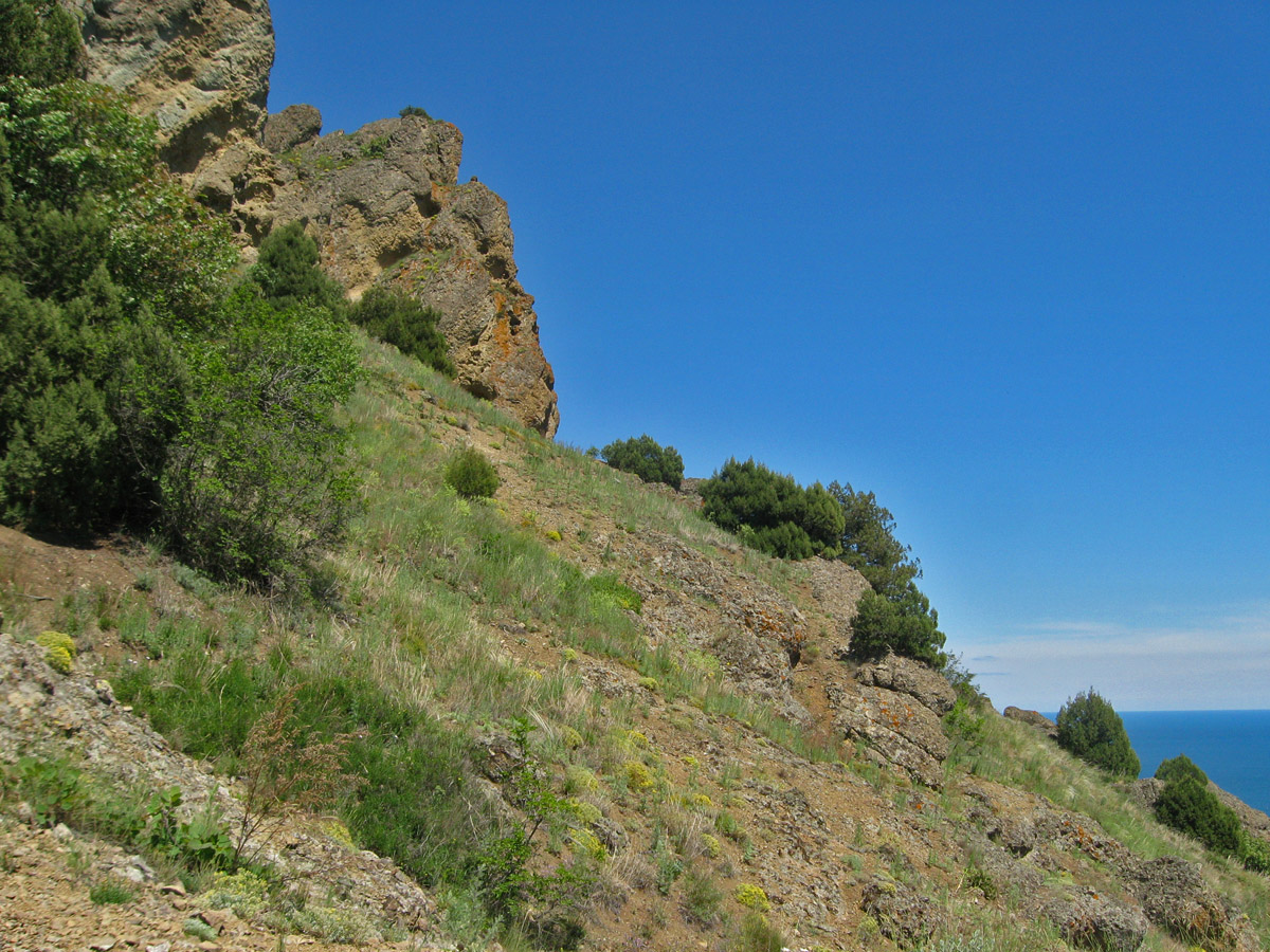 Карадаг, image of landscape/habitat.