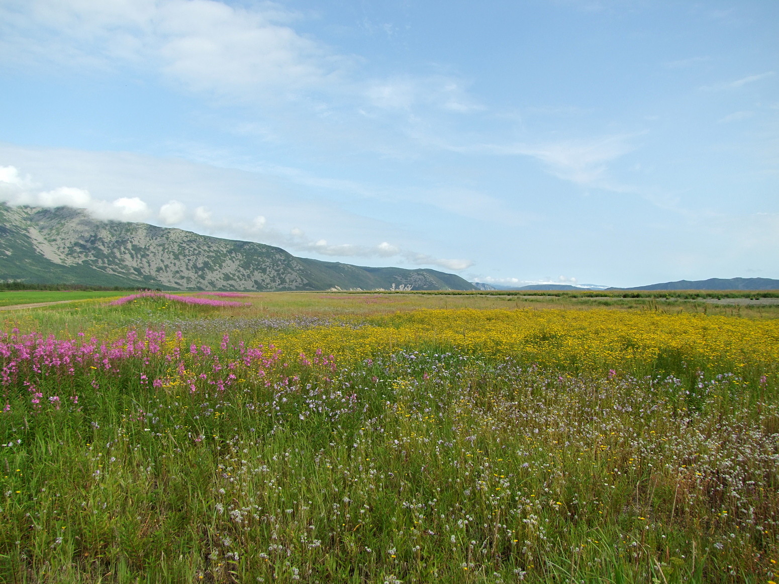 Арманское побережье, image of landscape/habitat.