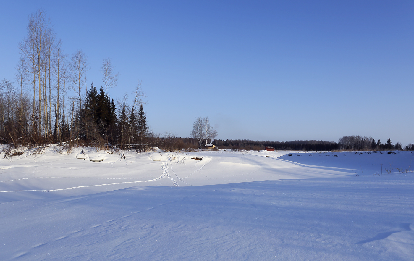 Низовья и устье Полуденной, image of landscape/habitat.