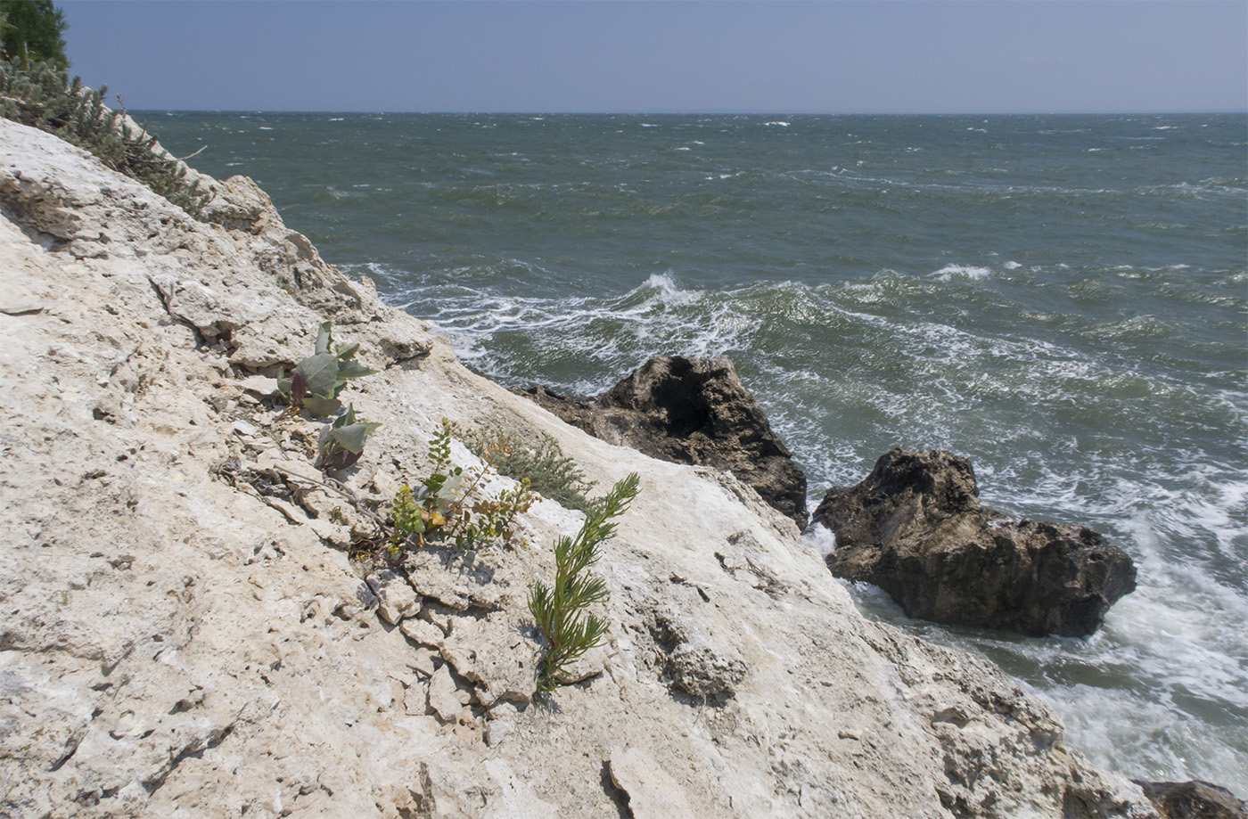 Казантип, image of landscape/habitat.