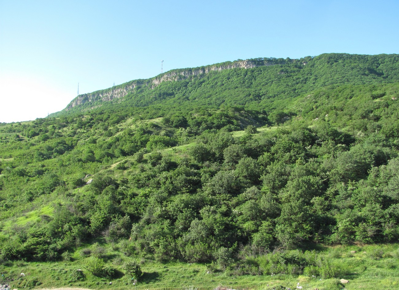 Тарки-Тау, image of landscape/habitat.