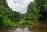 Окрестности деревни Усть-Сепыч, image of landscape/habitat.