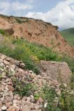 Image of landscape