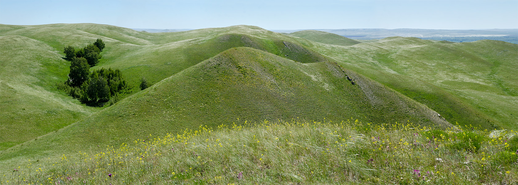 Ногайские горы, image of landscape/habitat.