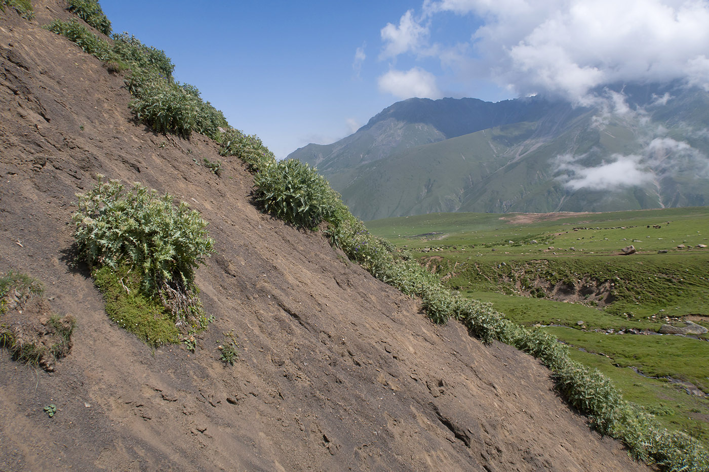 Урочище Хогес, image of landscape/habitat.