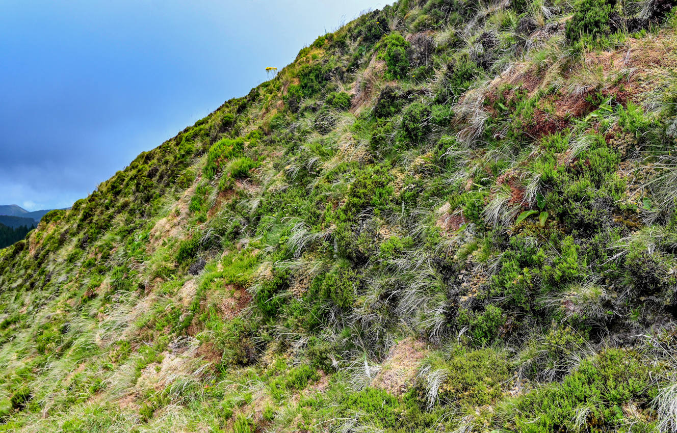 Лагоа-ду-Фогу, image of landscape/habitat.