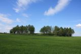 Image of landscape