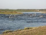 Image of landscape