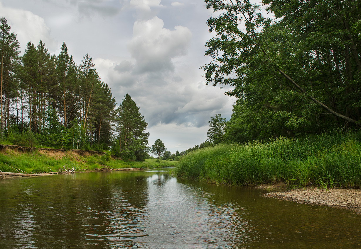 Окрестности деревни Усть-Сепыч, image of landscape/habitat.