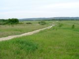 Вересовка, image of landscape/habitat.