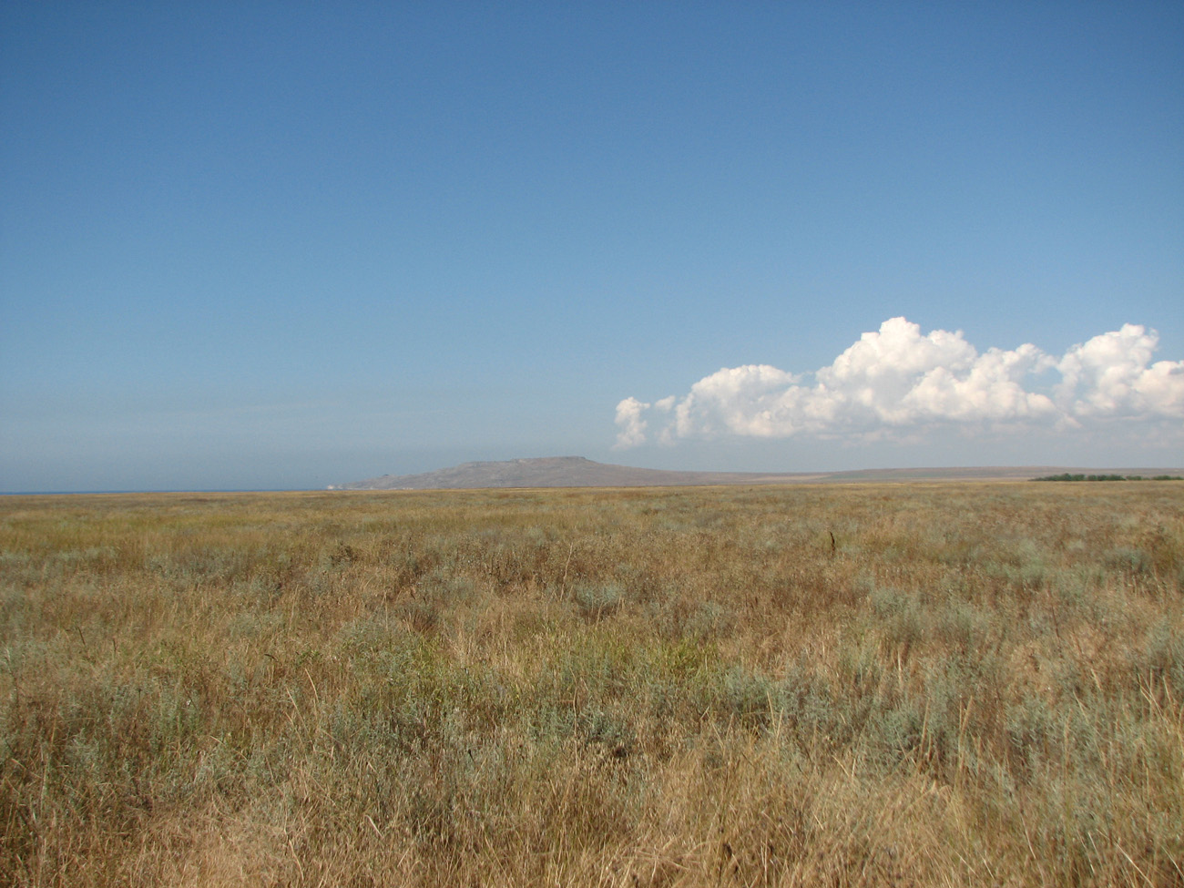 Окр. Яковенково, image of landscape/habitat.