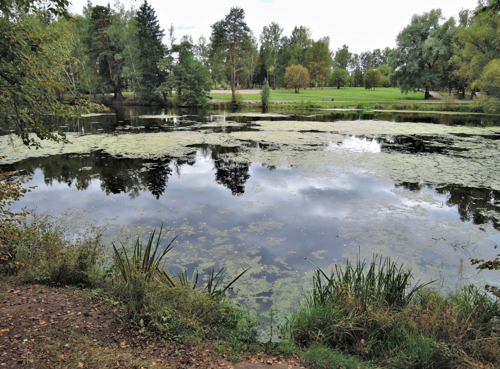 Захарово, image of landscape/habitat.