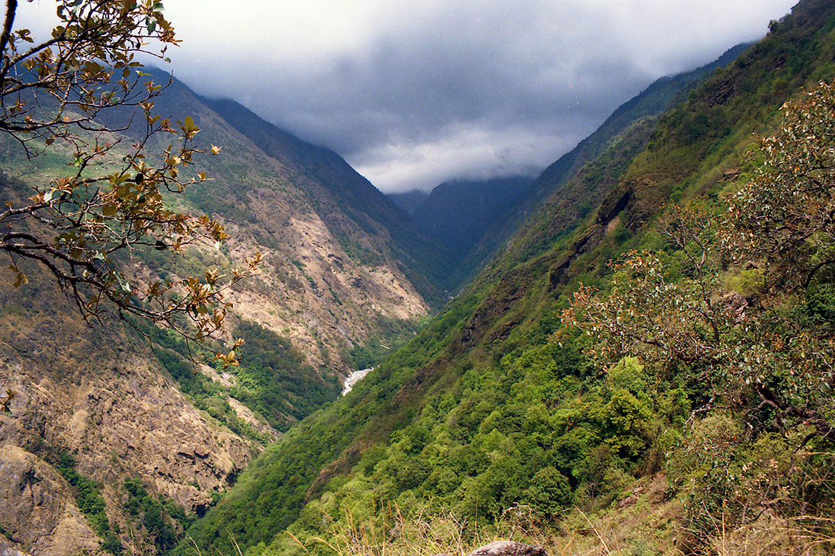 Лангтанг, image of landscape/habitat.