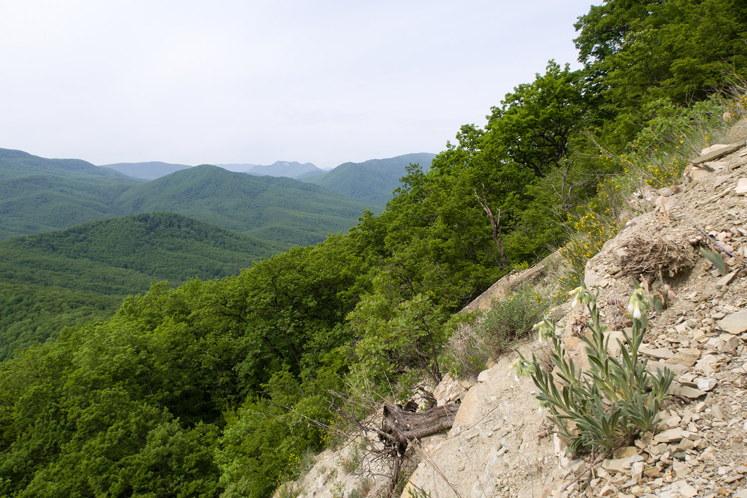 Собер-Баш, image of landscape/habitat.