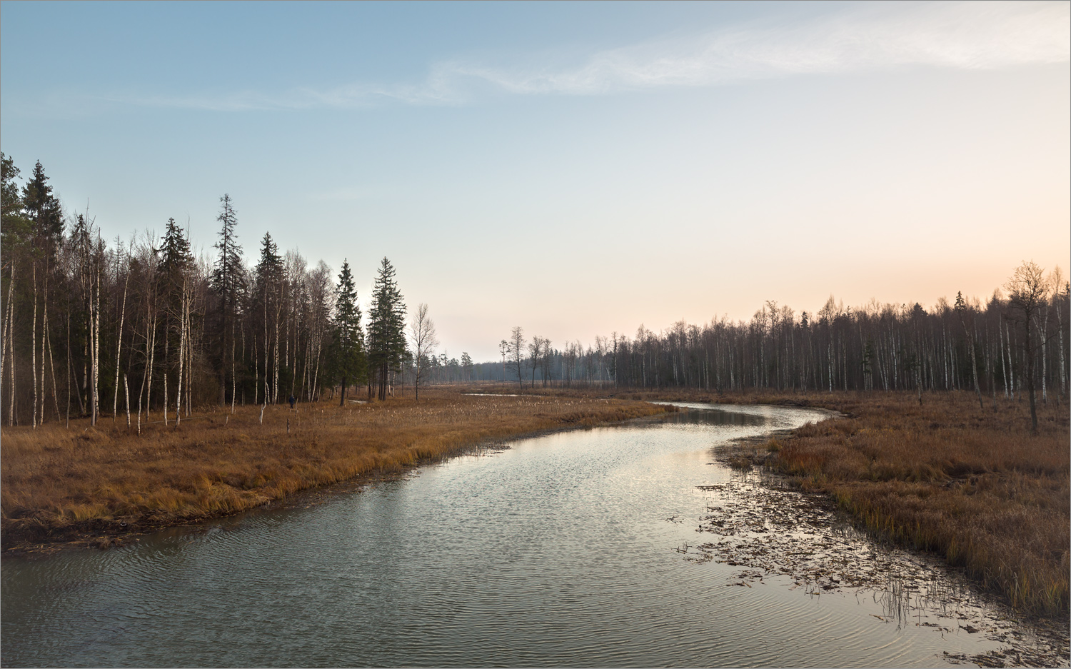 Парк "Зверинец", image of landscape/habitat.