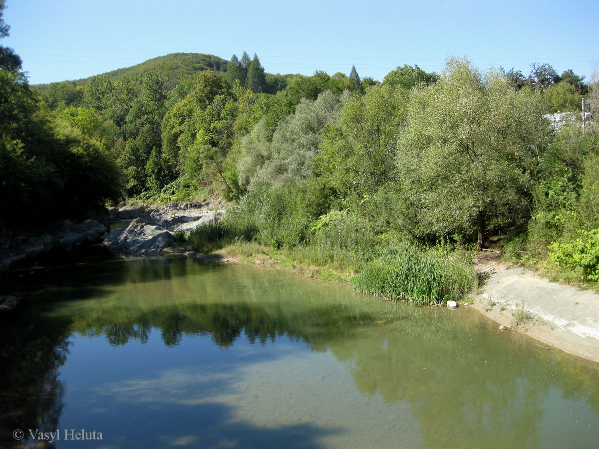 Шешоры, image of landscape/habitat.