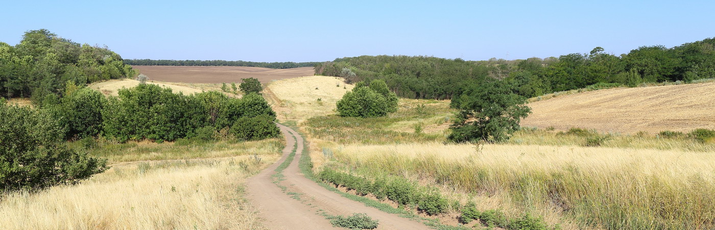 Балка Платонова, image of landscape/habitat.