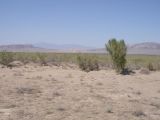 Image of landscape