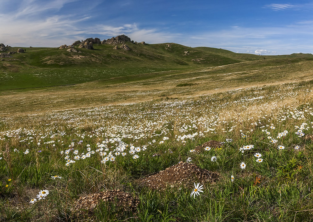 Адон-Челон, image of landscape/habitat.