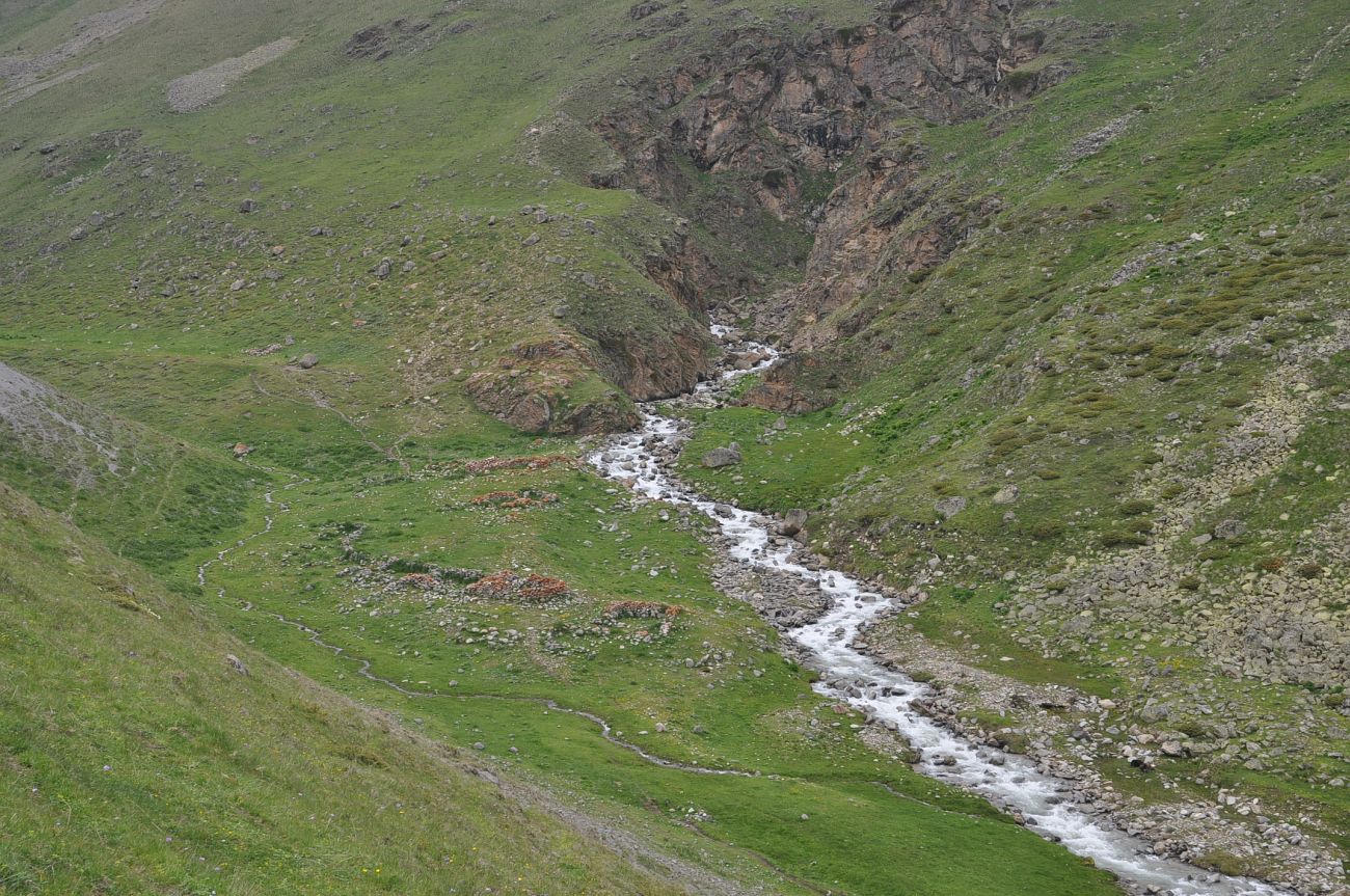 Долина реки Ирикчат, изображение ландшафта.