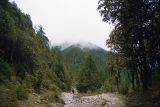 Image of landscape