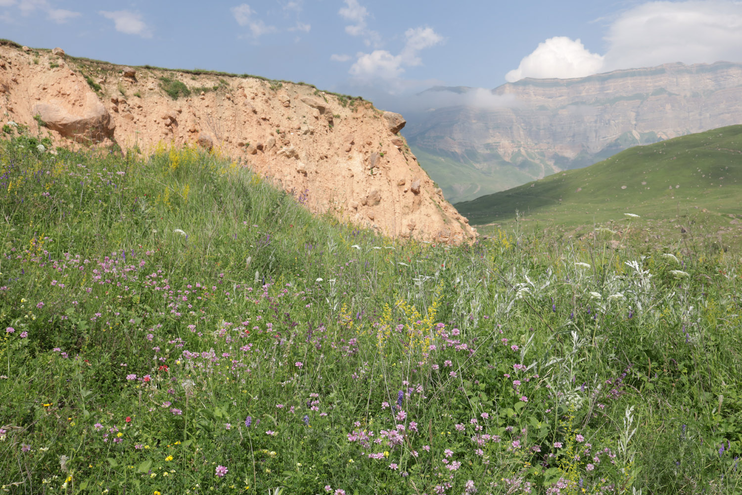Текипиркент, image of landscape/habitat.