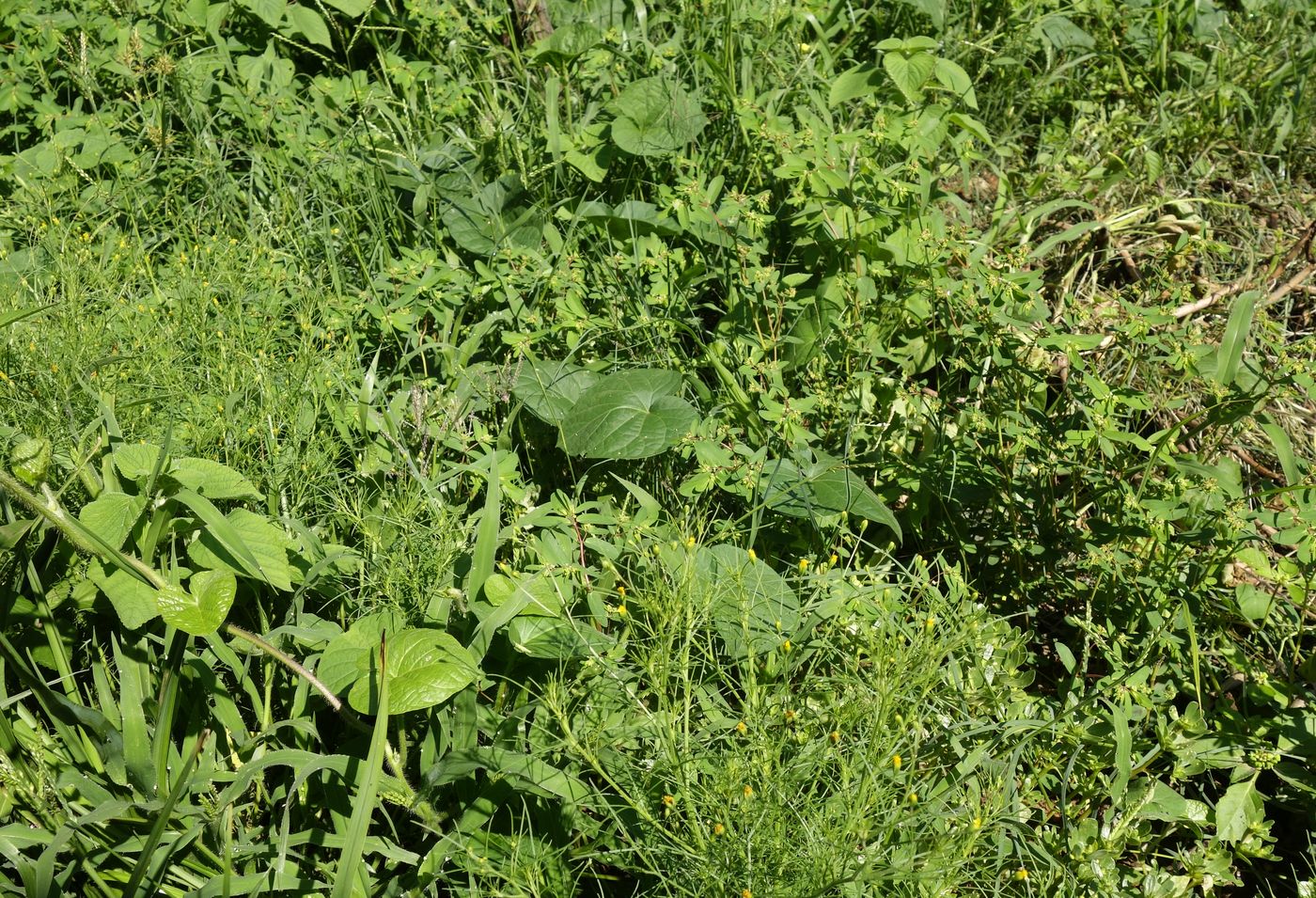 Клиприверсберг, image of landscape/habitat.