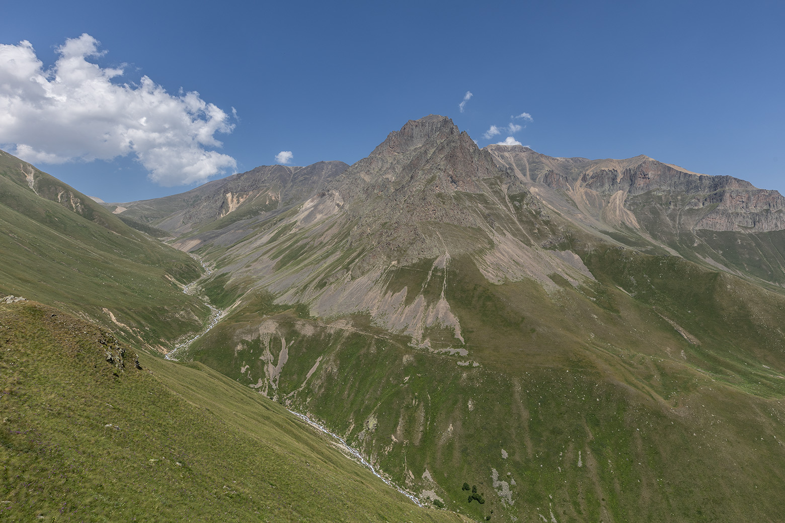 Башиль, image of landscape/habitat.
