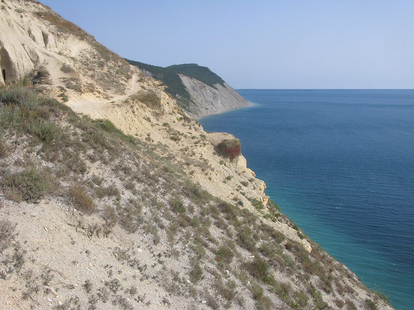 Супсех, image of landscape/habitat.