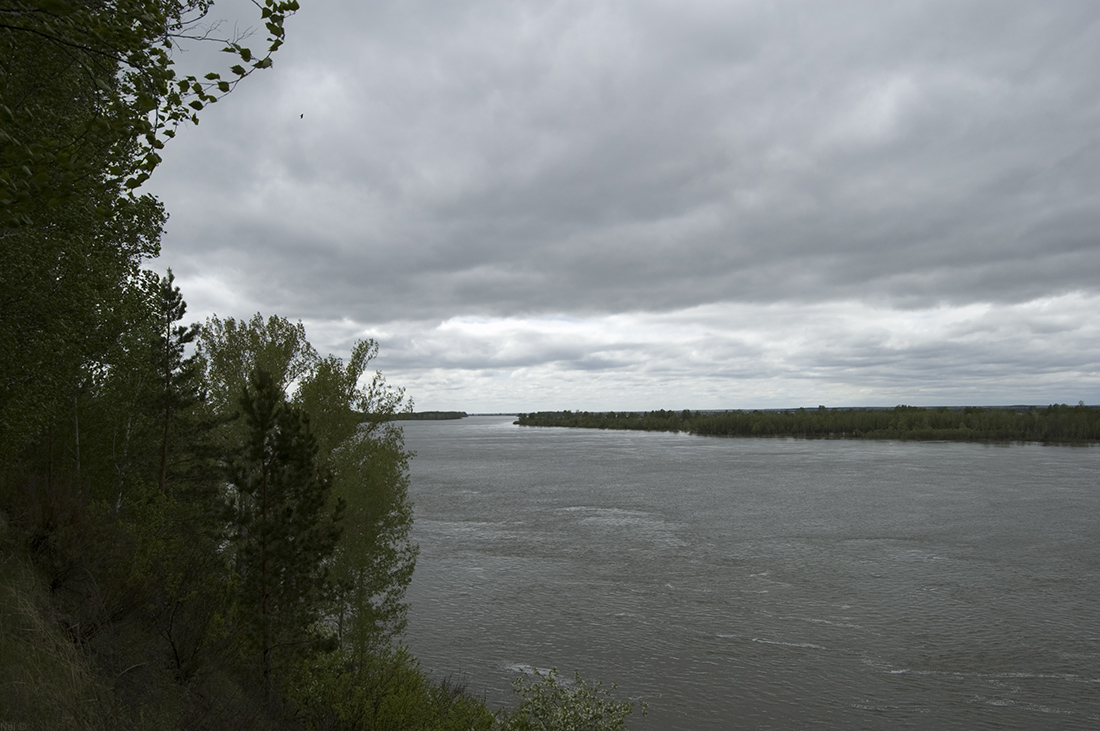 Правый обрывистый берег реки Обь, image of landscape/habitat.