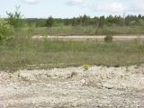 Image of landscape