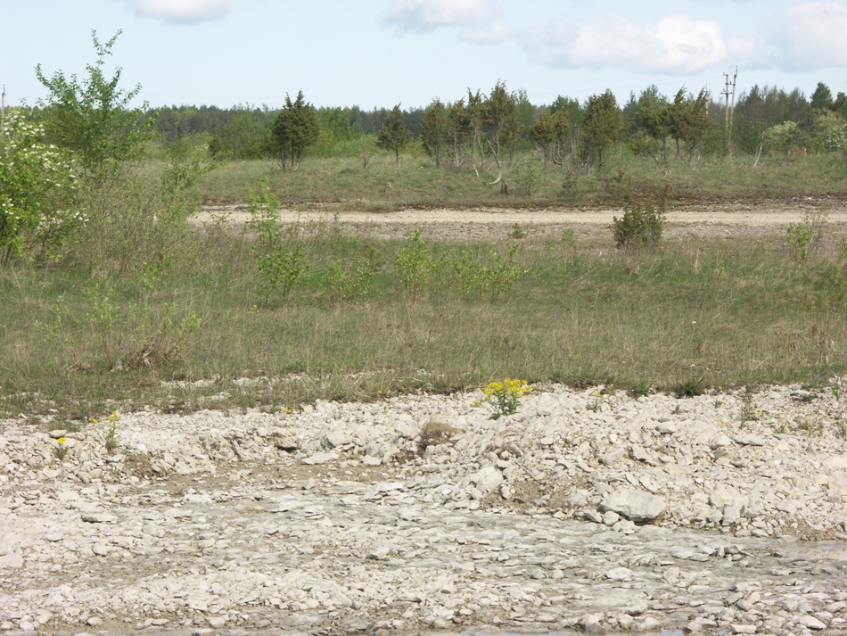 Выбуты, image of landscape/habitat.