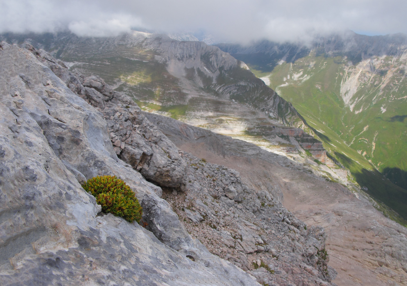 Фишт, image of landscape/habitat.