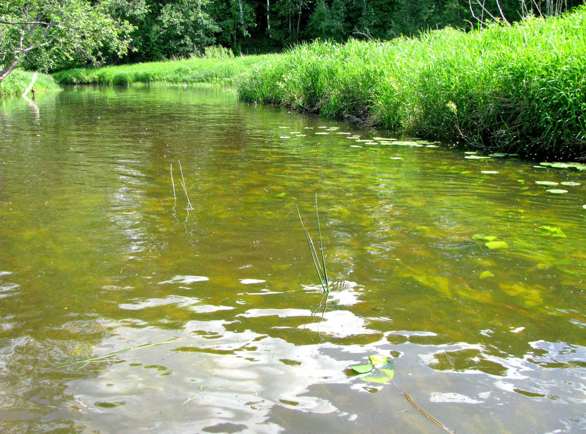 Долина Сёблы, image of landscape/habitat.