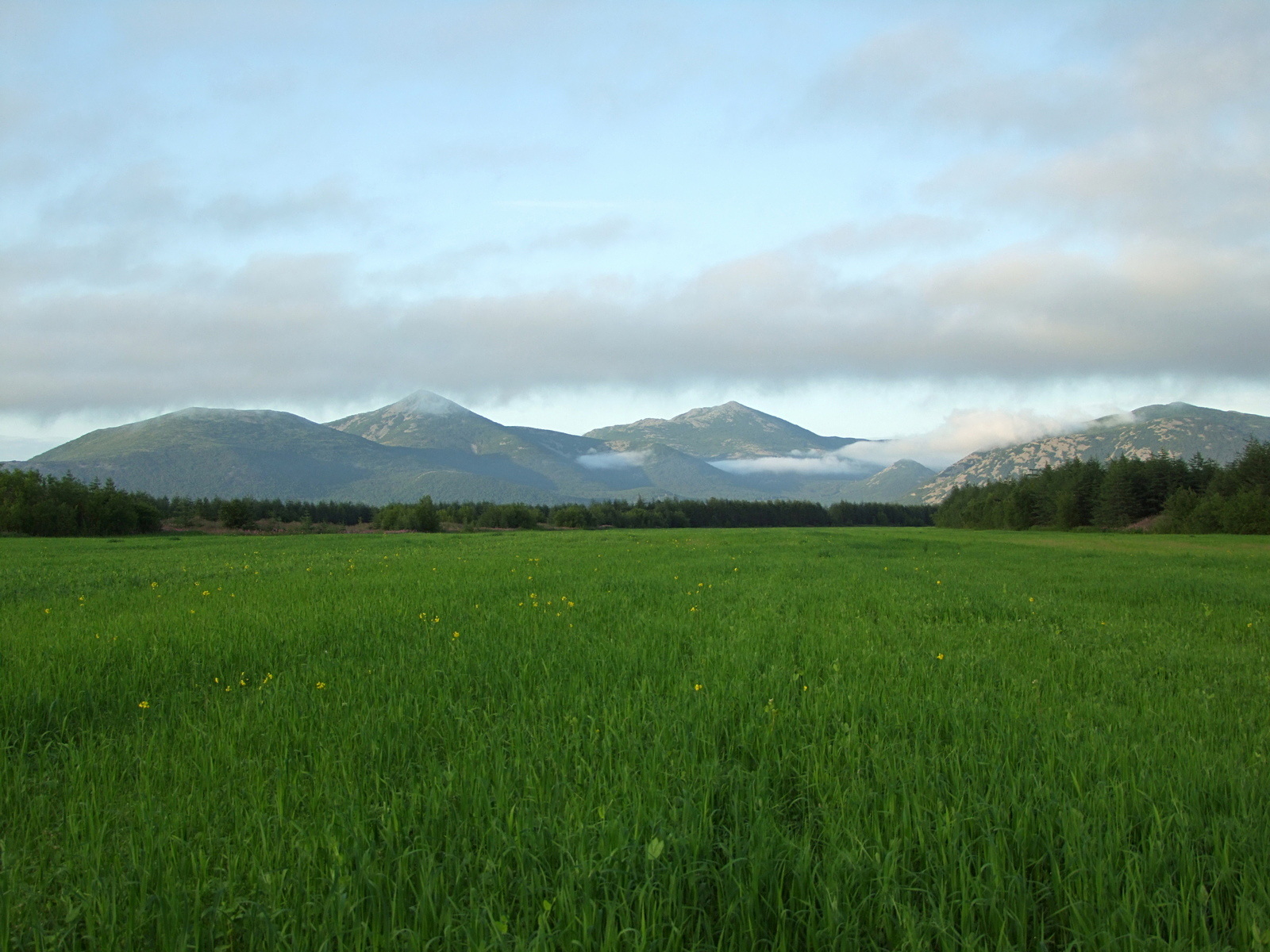 Арманское побережье, image of landscape/habitat.