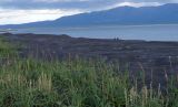 Image of landscape